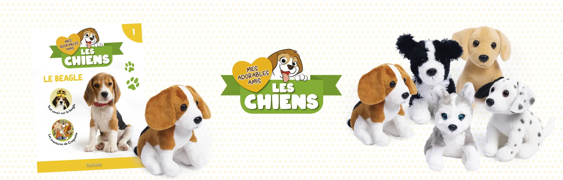 Mes adorables amis les chiens