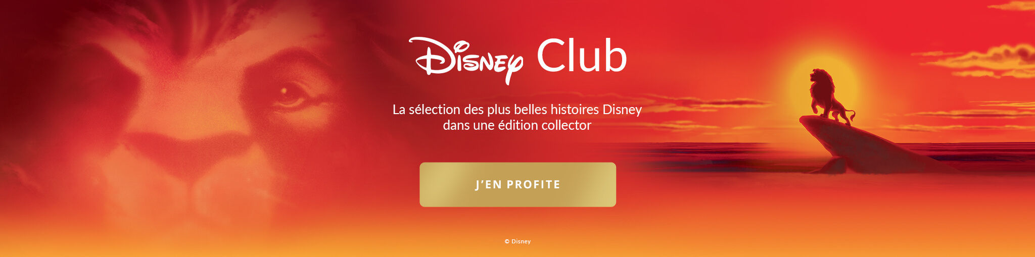 Disney Club