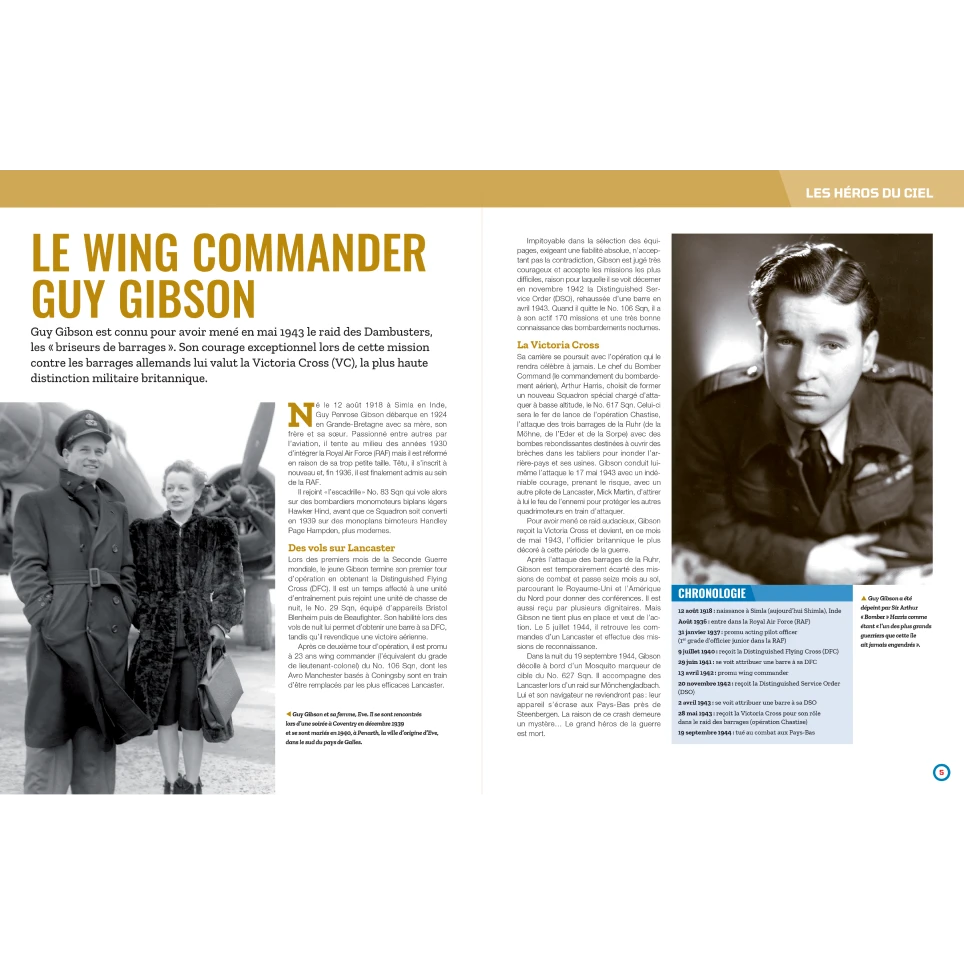 Les héros du ciel
